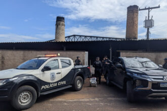 policia-civil-do-tocantins-incinera-cerca-de-300-kg-de-drogas-apreendidas-na-regiao-sul-do-estado