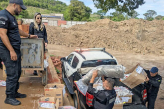 policia-civil-do-tocantins-incinera-cerca-de-300-kg-de-drogas-apreendidas-na-regiao-sul-do-estado