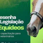 adapec-abre-inscricao-para-curso-de-resenha-e-legislacao-de-equideos