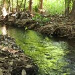 invasao-em-area-de-preservacao-e-suspensa-por-liminar-obtida-pelo-mpto-em-gurupi