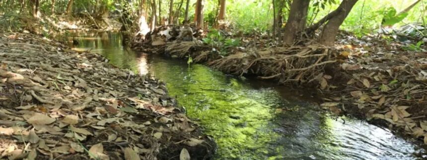 invasao-em-area-de-preservacao-e-suspensa-por-liminar-obtida-pelo-mpto-em-gurupi