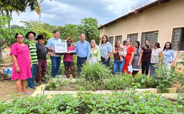 governo-do-tocantins-beneficia-42-mil-agricultores-familiares-com-entrega-de-kits-de-hortifruti-e-sementes-pelo-programa-mesa-farta
