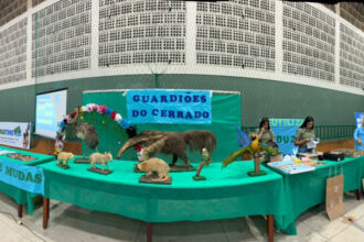 naturatins-participa-da-feira-de-ciencias-robotica-e-sustentabilidade-com-acoes-de-educacao-ambiental-em-paraiso