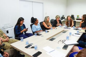 rede-de-protecao-reune-integrantes-para-discutir-funcionamento-da-casa-da-mulher-tocantinense