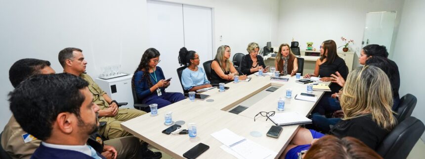 rede-de-protecao-reune-integrantes-para-discutir-funcionamento-da-casa-da-mulher-tocantinense