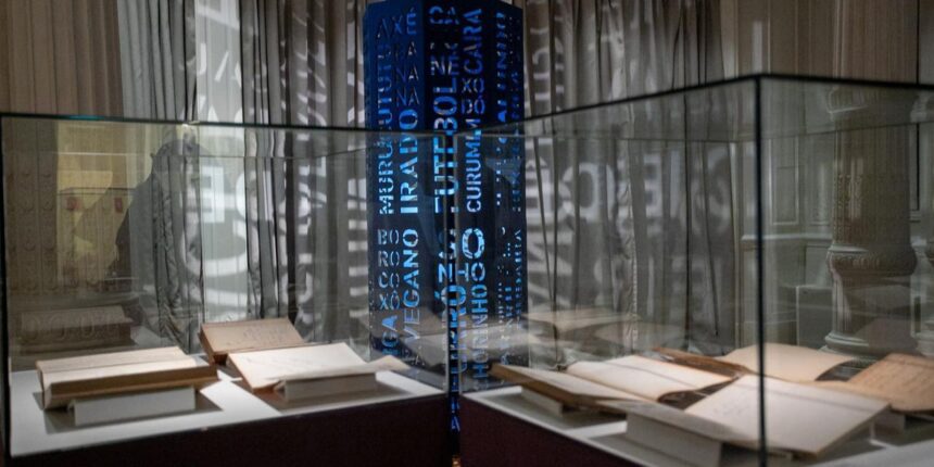 exposicao-em-brasilia-celebra-50-anos-do-dicionario-aurelio