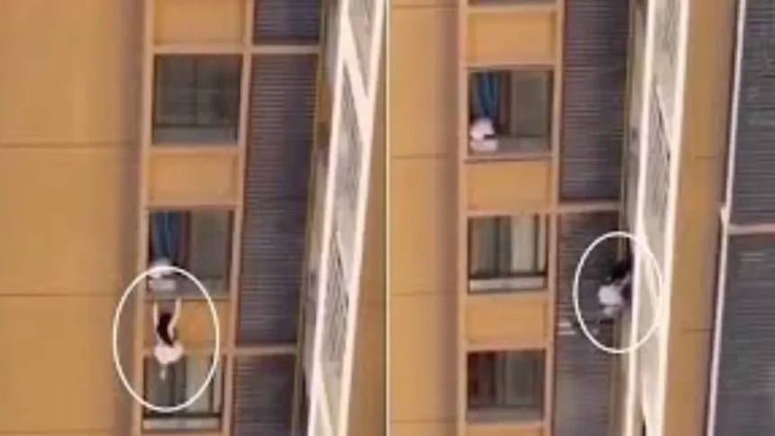 ‘amante’-foge-pela-janela-do-10o-andar-e-video-viraliza