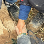 meino-de-10-anos-que-estava-desaparecido-e-encontrado-‘enterrado-vivo’-na-turquia