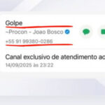 procon-tocantins-alerta-consumidores-sobre-golpes-via-whatsapp-envolvendo-falsos-servidores-do-orgao