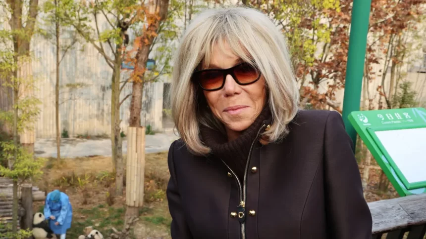 “nojentas”?-porta-voz-do-governo-frances-pede:-“deixem-brigitte-em-paz”