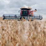 adapec-celebra-27-anos-de-fortalecimento-ao-agronegocio-tocantinense