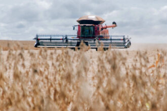 adapec-celebra-27-anos-de-fortalecimento-ao-agronegocio-tocantinense