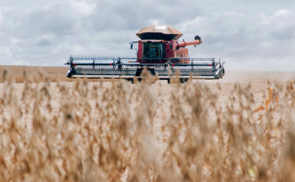 adapec-celebra-27-anos-de-fortalecimento-ao-agronegocio-tocantinense