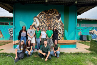 cefau-recebe-treinamento-com-foco-no-manejo-de-quelonios-com-especialistas-de-manaus