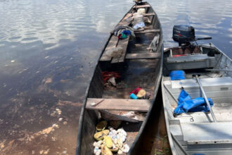 protetor-dos-biomas:-pm-resgata-3-mil-filhotes-de-tartarugas-da-amazonia-no-rio-javaes