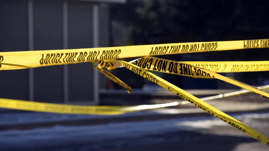 mulher-e-esfaqueada-enquanto-mudava-fralda-de-bebe;-suspeita-foi-detida