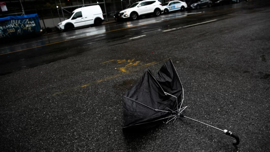 enel-diz-que-deve-restabelecer-o-fornecimento-de-energia-em-sp-ate-a-noite-de-domingo,-14