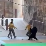 urso-ataca-treinador-em-parque-na-china-para-tentar-roubar-comida