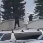 atentado-em-praia-de-sydney-deixa-dez-mortos;-dois-suspeitos-detidos