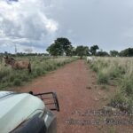 fazendeiro-e-multado-em-mais-de-r$-1,6-milhao-por-desmatar-area-de-reserva-legal-para-criar-gado