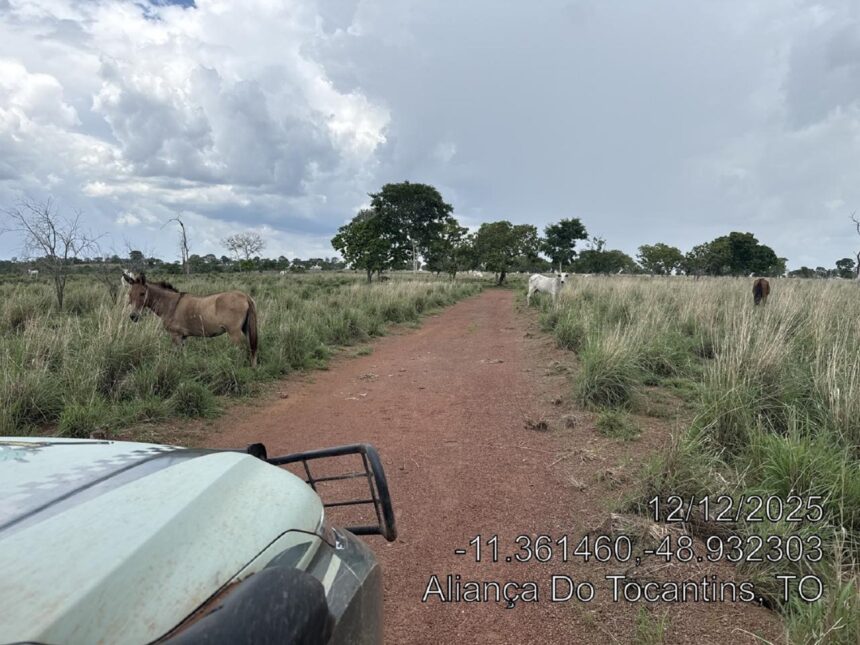 fazendeiro-e-multado-em-mais-de-r$-1,6-milhao-por-desmatar-area-de-reserva-legal-para-criar-gado