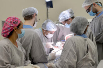 governo-do-tocantins-celebra-13-anos-da-central-estadual-de-transplantes-e-reforca-rede-de-solidariedade-pela-vida