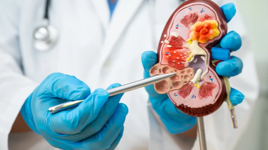 apenas-10%-dos-brasileiros-lembram-que-diabetes-pode-afetar-rins,-diz-datafolha