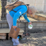 governo-do-tocantins-celebra-queda-no-numero-de-arboviroses-em-2025