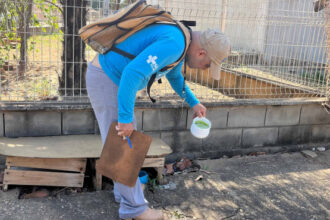 governo-do-tocantins-celebra-queda-no-numero-de-arboviroses-em-2025