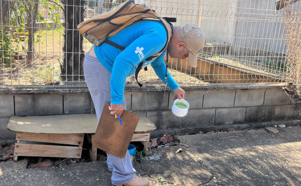 governo-do-tocantins-celebra-queda-no-numero-de-arboviroses-em-2025