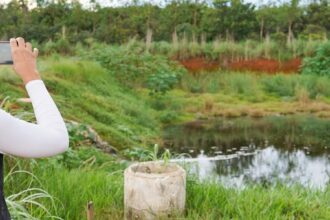 mpto-recomenda-medidas-para-garantir-seguranca-juridica-no-licenciamento-ambiental