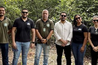 ministerio-publico-acompanha-projeto-de-reflorestamento-e-discute-seguranca-em-almas