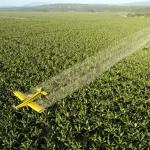 paises-que-mais-utilizam-pesticidas