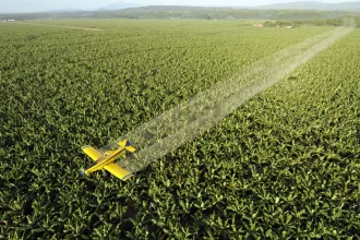 paises-que-mais-utilizam-pesticidas