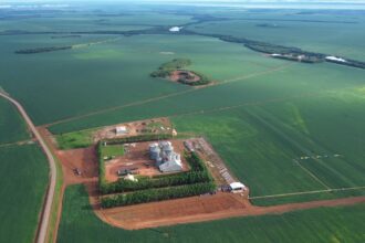 como-o-agronegocio-impulsiona-o-comercio,-os-servicos-e-o-pib-do-tocantins