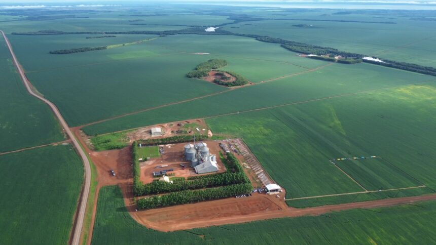 como-o-agronegocio-impulsiona-o-comercio,-os-servicos-e-o-pib-do-tocantins