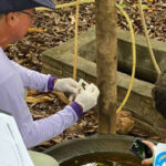 governo-do-tocantins-sanciona-lei-que-reforca-enfrentamento-a-dengue