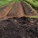 cmn-amplia-socorro-a-produtores-afetados-pelo-clima