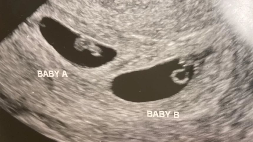 eua:-bilionario-chines-usa-barriga-de-aluguel-para-ter-mais-de-100-filhos