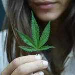 consumo-de-cannabis-entre-meninas-triplica-em-10-anos-e-chega-a-7,9%,-diz-unifesp