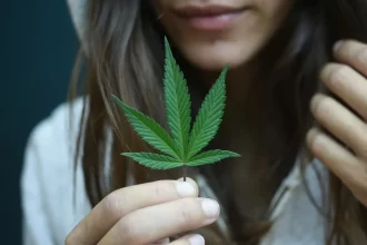 consumo-de-cannabis-entre-meninas-triplica-em-10-anos-e-chega-a-7,9%,-diz-unifesp