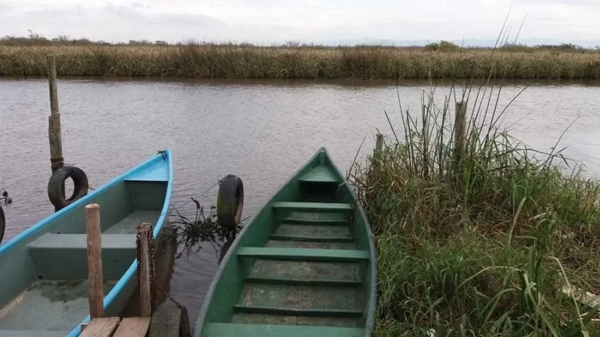 pesquisadora-e-achada-morta-apos-cair-em-rio-durante-coleta-de-agua-no-rs