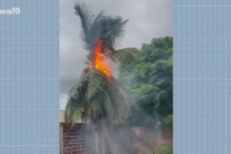 homem-tem-casa-atingida-por-raio-na-vespera-de-natal-e-relembra-morte-do-pai-por-descarga-eletrica