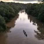 menina-de-2-anos-morre-depois-de-ser-atacada-por-piranhas-no-rio-amazonas