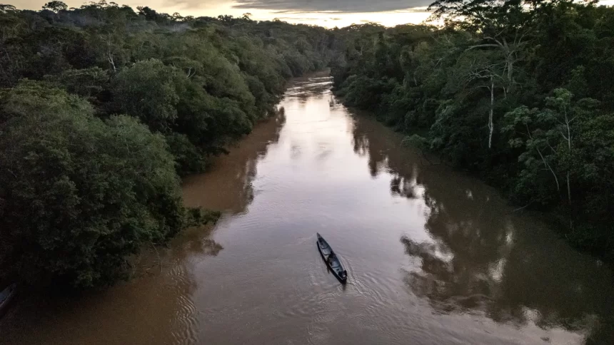 menina-de-2-anos-morre-depois-de-ser-atacada-por-piranhas-no-rio-amazonas