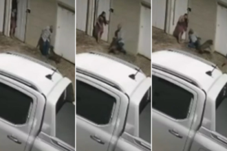 idoso-gravemente-ferido-em-ataque-de-pitbull-voltava-de-comemoracao-de-natal:-‘nao-conseguiu-correr’,-diz-neta