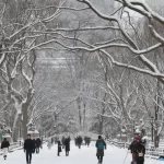 nova-york-declara-estado-de-emergencia-em-meio-a-nevasca