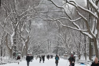 nova-york-declara-estado-de-emergencia-em-meio-a-nevasca