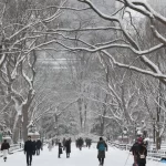 nova-york-declara-estado-de-emergencia-em-meio-a-nevasca