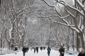 nova-york-declara-estado-de-emergencia-em-meio-a-nevasca
